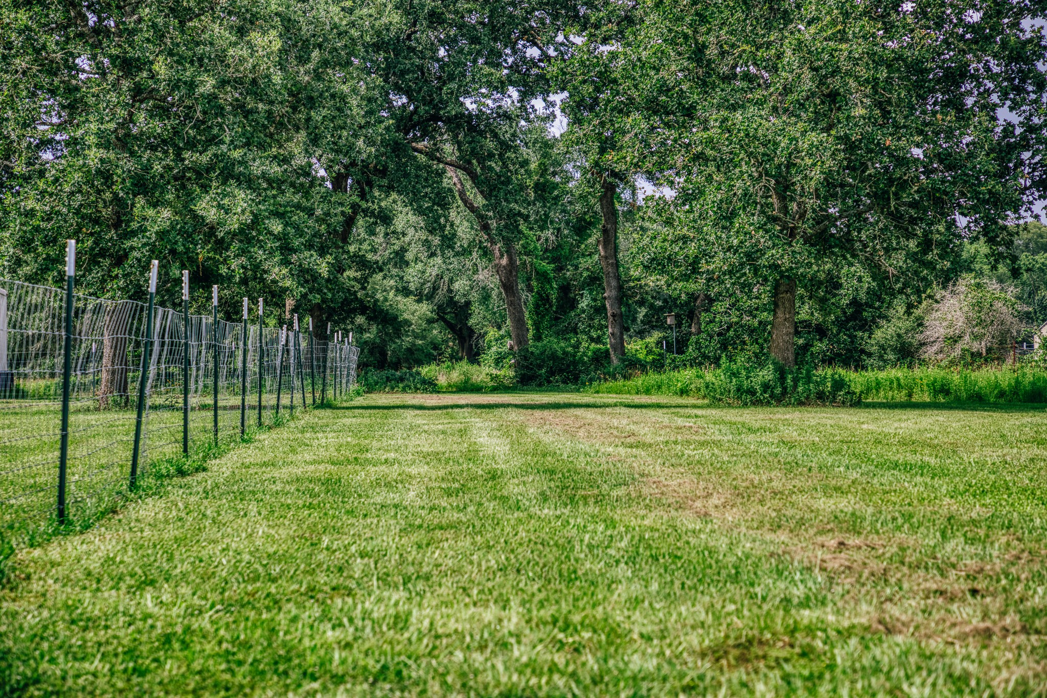 38261 Fm 1736 Road Hempstead, TX 77445 - Photo 6 of 43