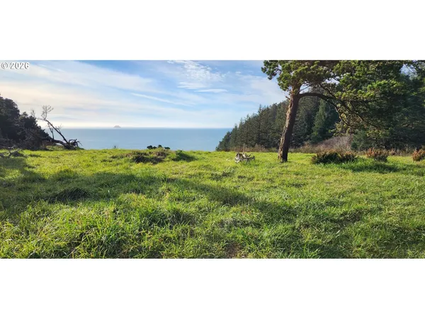 a backyard of a house with a yard and potted plants