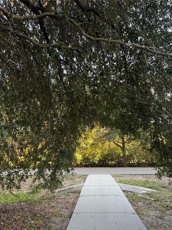 2624 Sweet Magnolia Place Oviedo, FL 32765 - Photo 23 of 25 a view of backyard with large trees