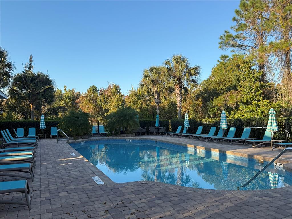 2624 Sweet Magnolia Place Oviedo, FL 32765 - Photo 25 of 25 a view of a backyard with trees