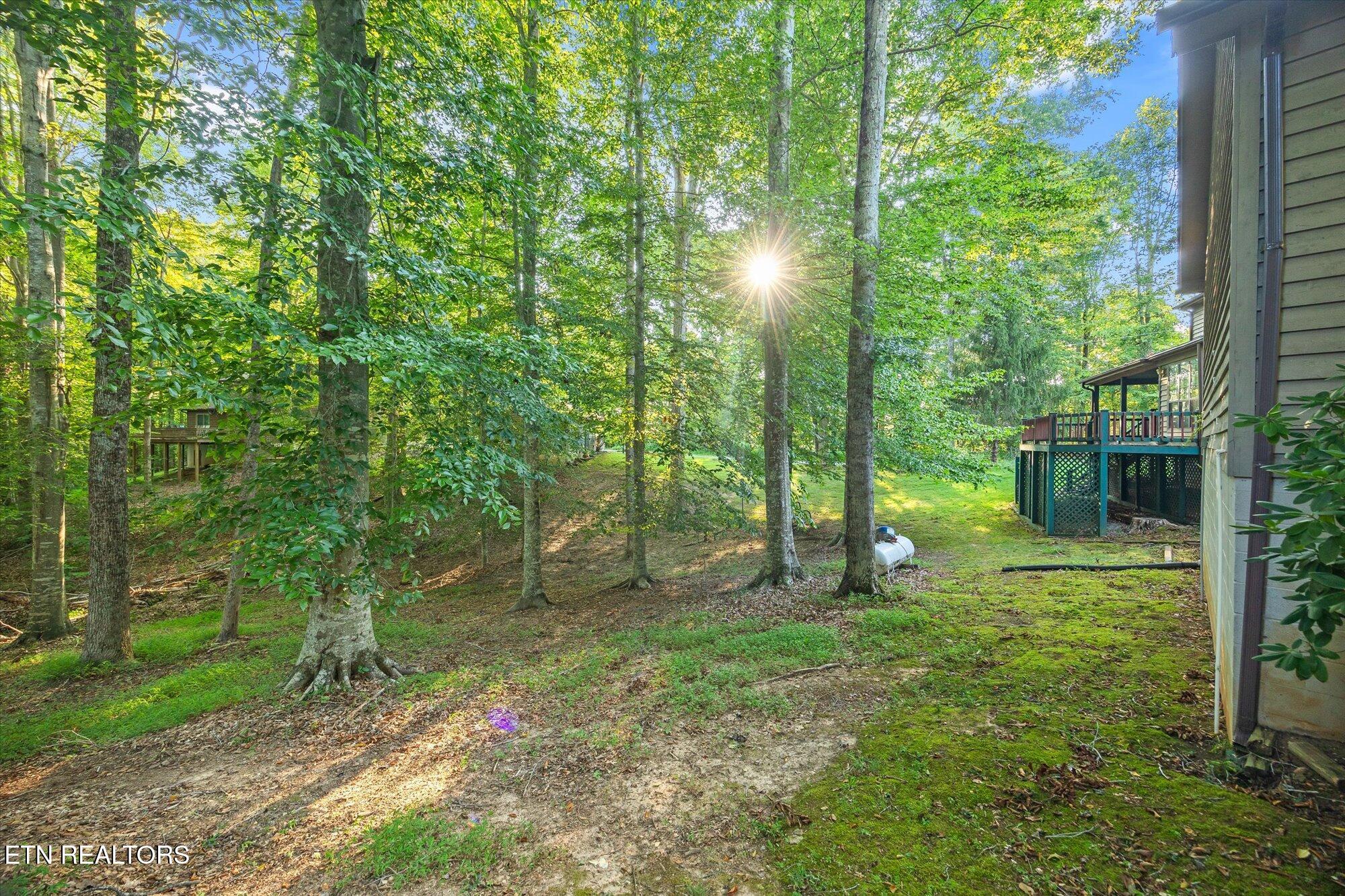 1111 Cherokee Road Byrdstown, TN 38549 - Photo 6 of 37 06-1111 Cherokeee Rd, Byrdstown_1171