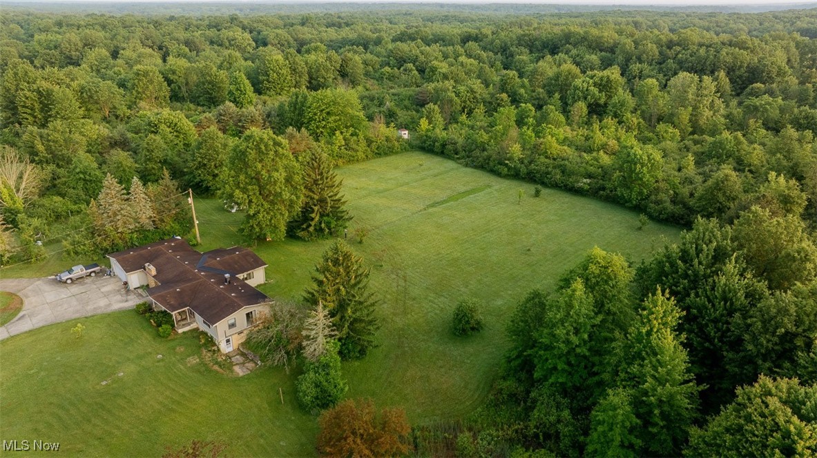 16510 Mock Road Berlin Center, OH 44401 - Photo 22 of 29 View of rural area with a forest