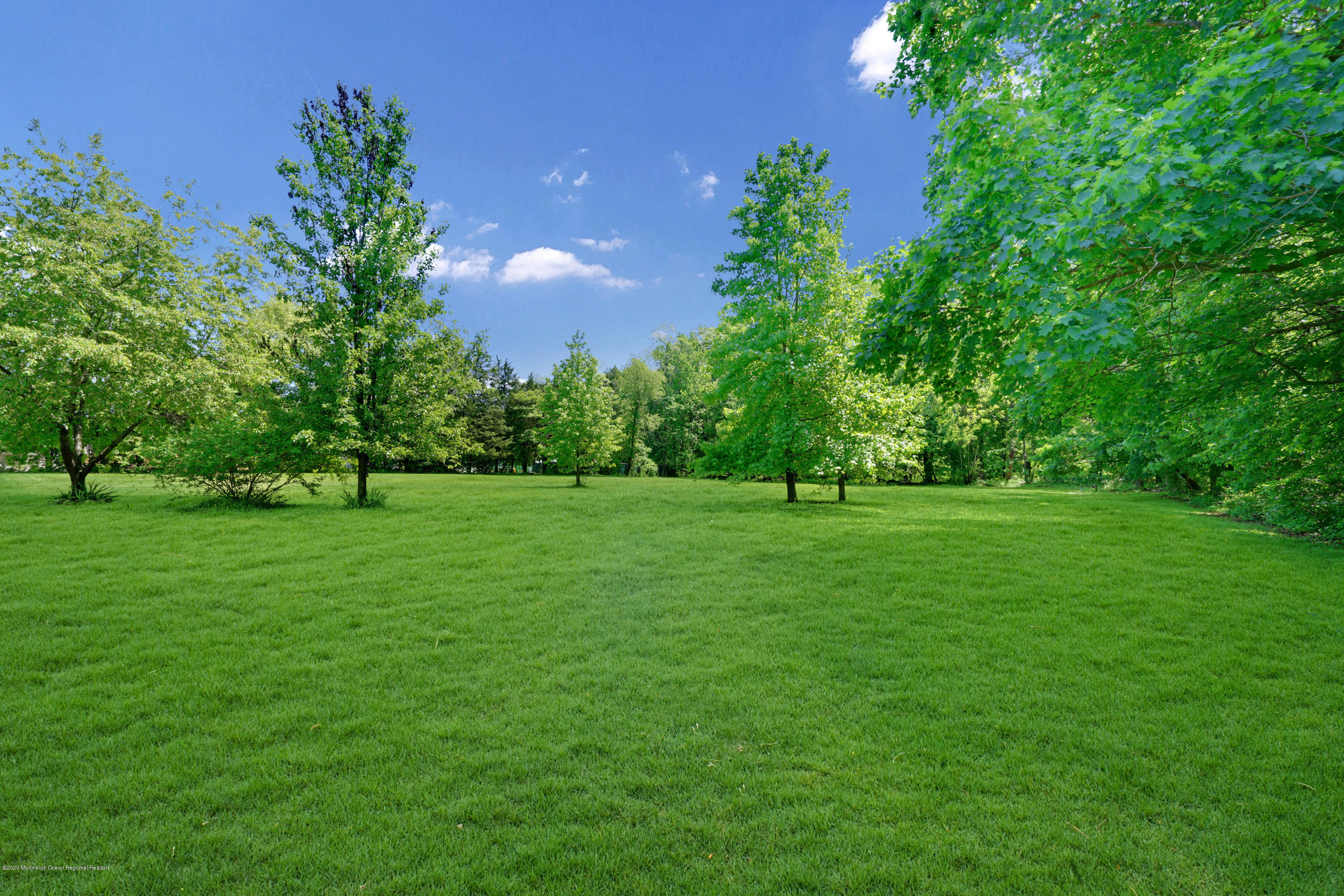 249 Monmouth Road Freehold, NJ 07728 - Photo 33 of 35 Beautiful Yard