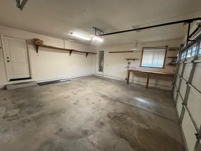 a view of a backyard with plants and large tree