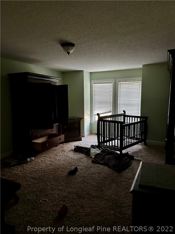 4010 Hillmon Grove Road Cameron, NC 28326 - Photo 13 of 32 Gallery Image 13
