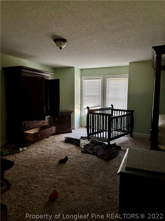 4010 Hillmon Grove Road Cameron, NC 28326 - Photo 17 of 32 Gallery Image 17