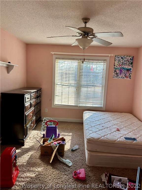 4010 Hillmon Grove Road Cameron, NC 28326 - Photo 21 of 32 Gallery Image 21