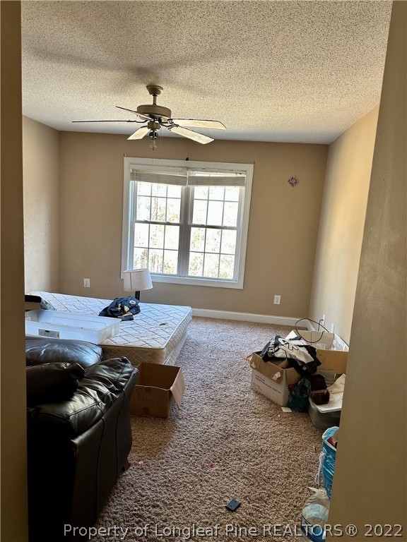 4010 Hillmon Grove Road Cameron, NC 28326 - Photo 24 of 32 Gallery Image 24