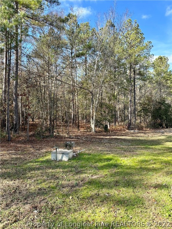 4010 Hillmon Grove Road Cameron, NC 28326 - Photo 28 of 32 Gallery Image 28