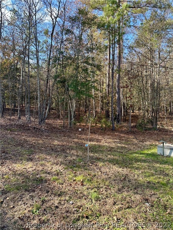 4010 Hillmon Grove Road Cameron, NC 28326 - Photo 29 of 32 Gallery Image 29