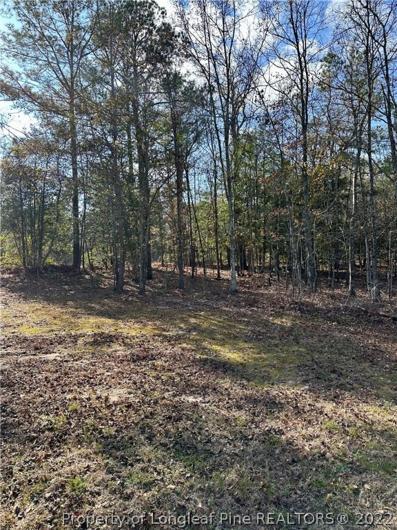 4010 Hillmon Grove Road Cameron, NC 28326 - Photo 30 of 32 Gallery Image 30
