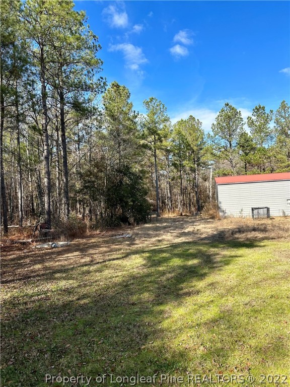4010 Hillmon Grove Road Cameron, NC 28326 - Photo 31 of 32 Gallery Image 31