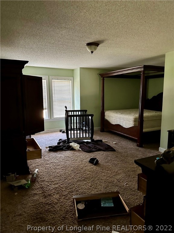 4010 Hillmon Grove Road Cameron, NC 28326 - Photo 7 of 32 Gallery Image 7