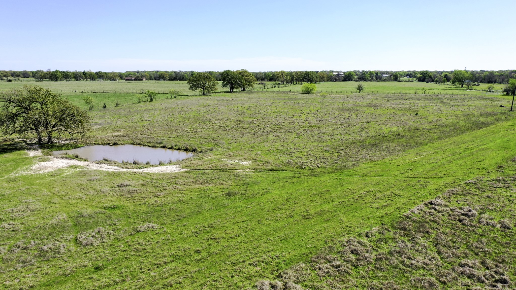 1440 Mustang Loop Madisonville, TX 77864 - Photo 40 of 46