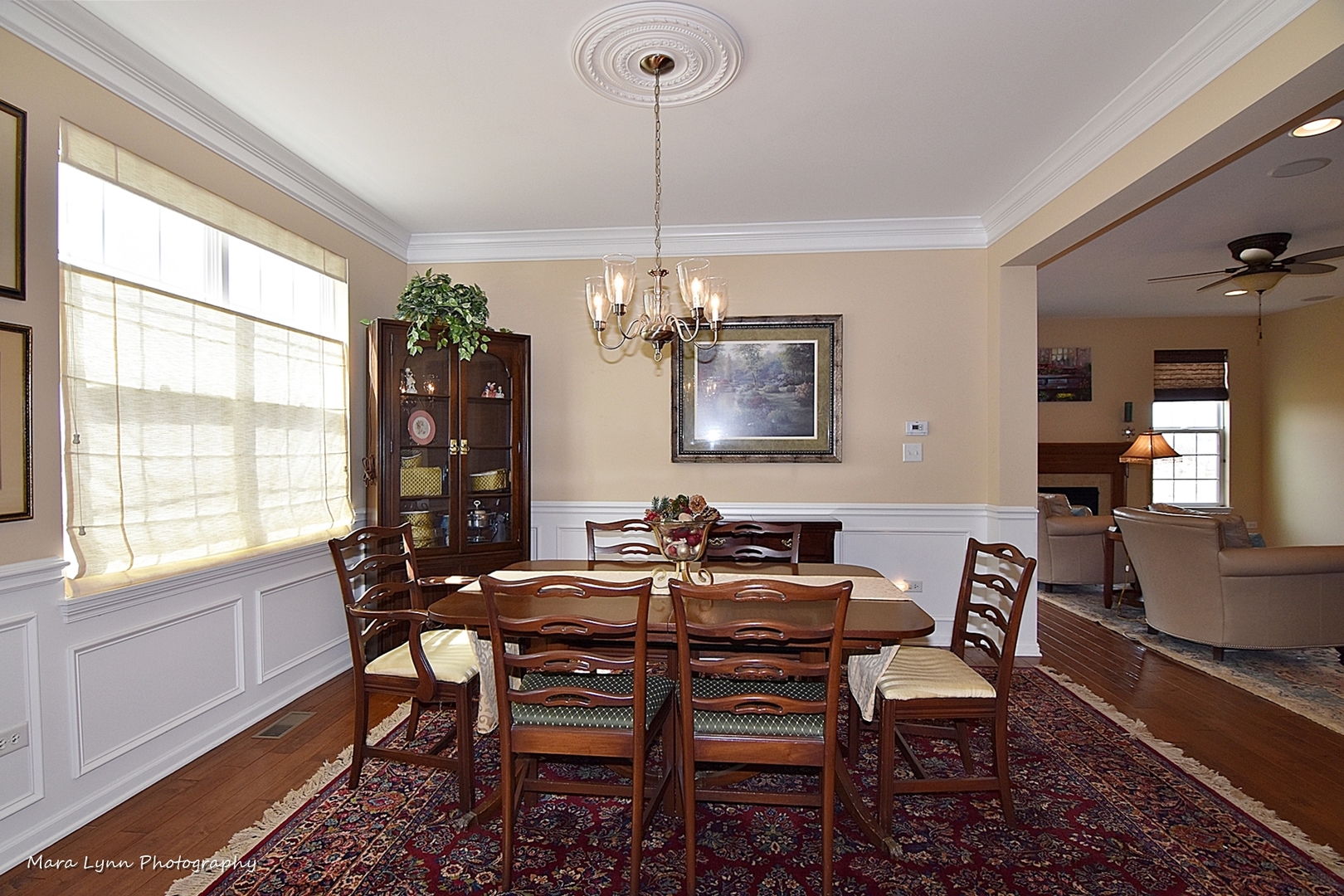 1217 Falcon Ridge Drive Elgin, IL 60124 - Photo 5 of 35