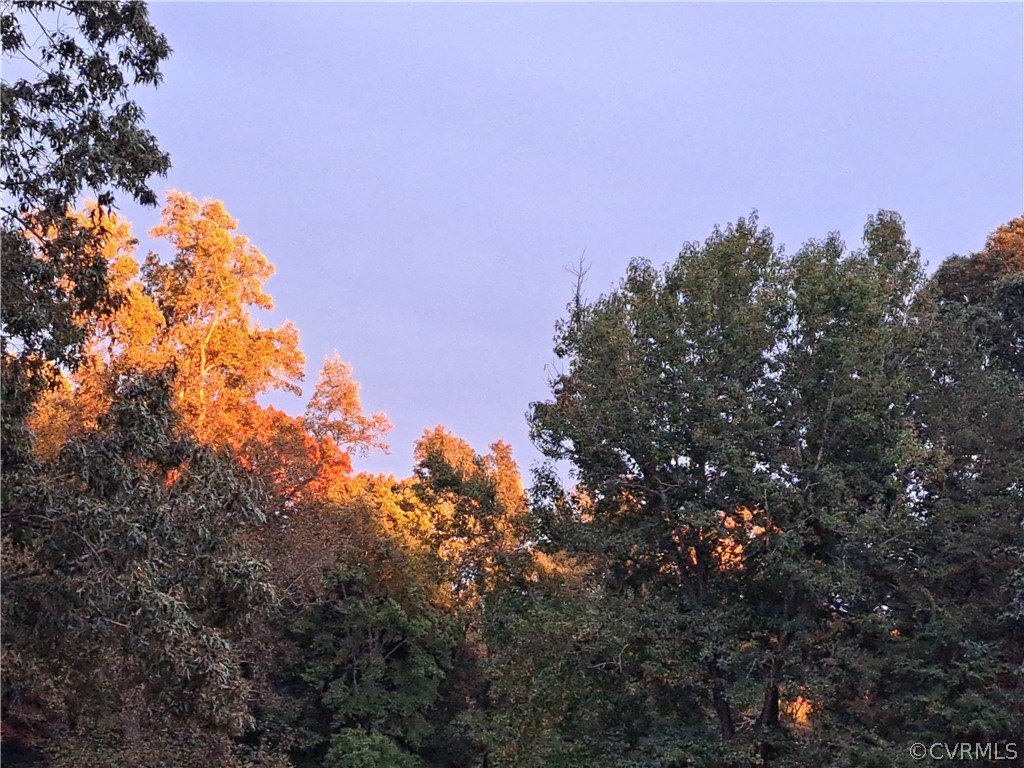 Undisclosed Address Powhatan, VA 23139 - Photo 2 of 8 a outdoor space with lots of trees