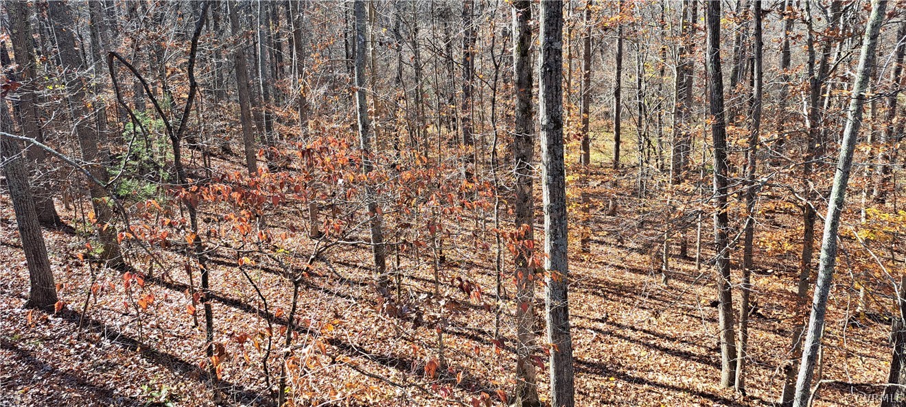 Undisclosed Address Powhatan, VA 23139 - Photo 6 of 8 a bathroom with a shower curtain