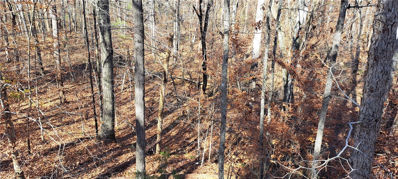 Undisclosed Address Powhatan, VA 23139 - Photo 7 of 8