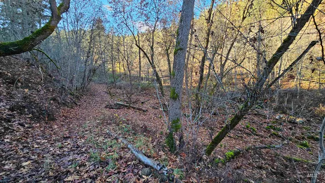 $285,000 | 22100 Old Melrose Grade Road, Peck, ID 83545