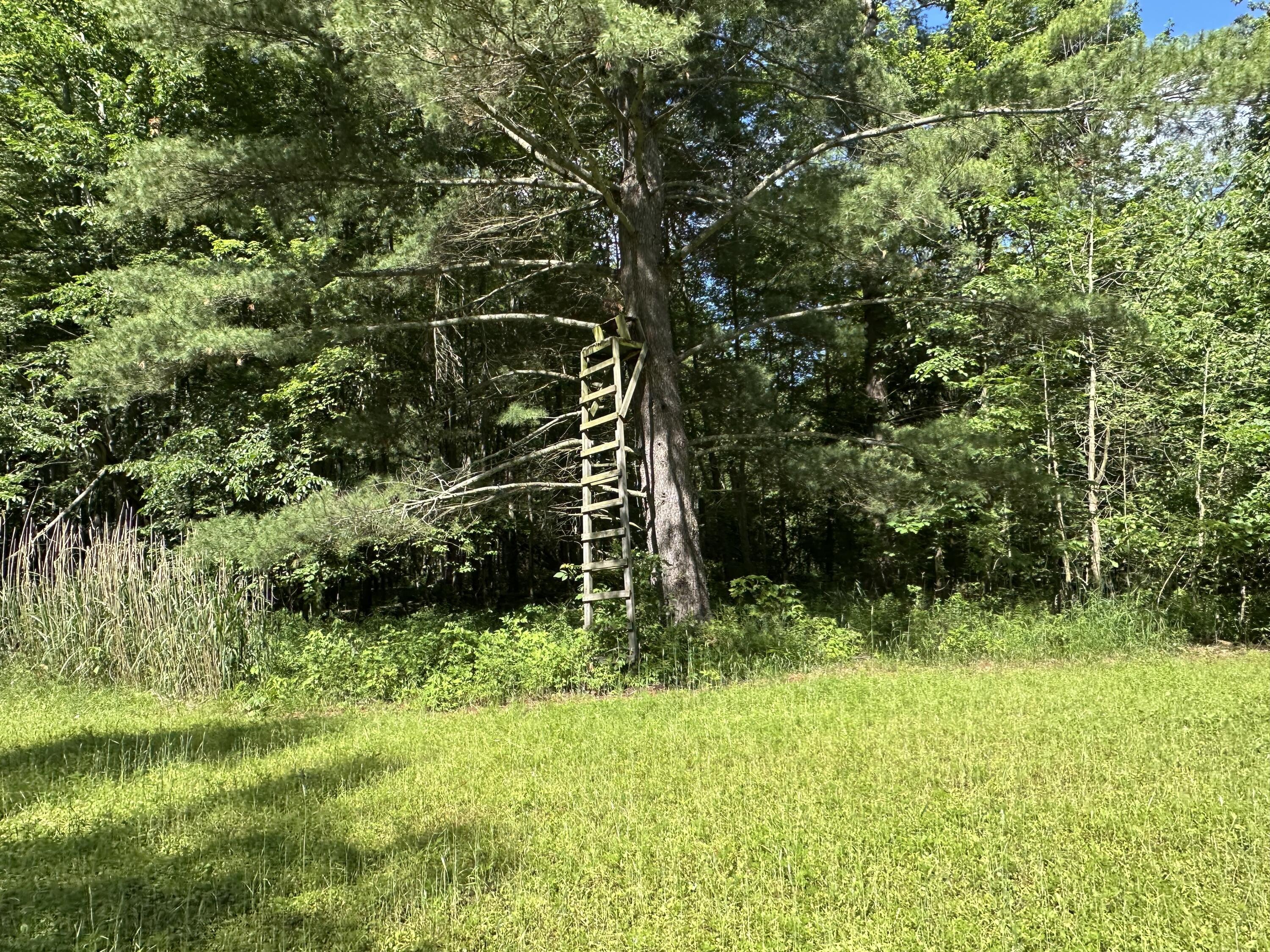 4485 South Miles Road Sheridan, MI 48884 - Photo 72 of 79 IMG_3684