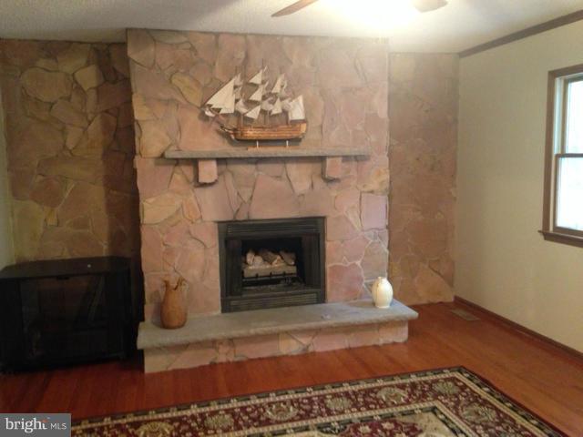 6013 Newton Road Preston, MD 21655 - Photo 8 of 30 Stone Fireplace