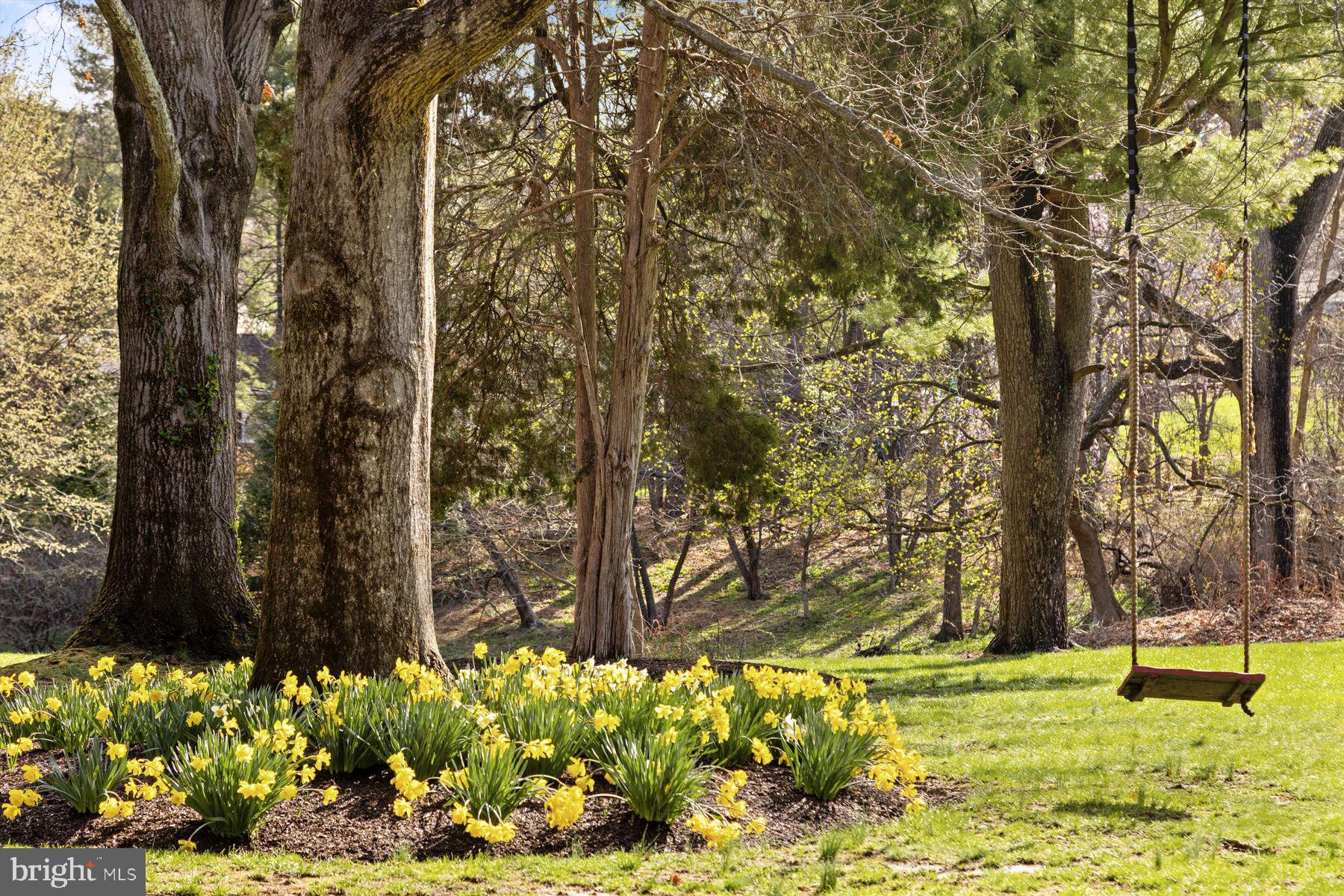 1566 Woodside Road Yardley, PA 19067 - Photo 27 of 50 a view of backyard with tree