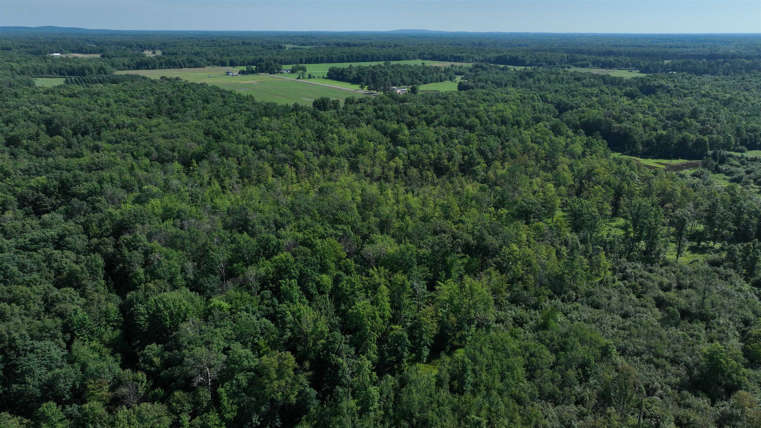 38.85-ac County Road East Pittsville, WI 54466 - Photo 23 of 50