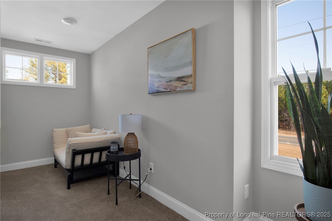 2538 Marks Road Cameron, NC 28326 - Photo 26 of 33