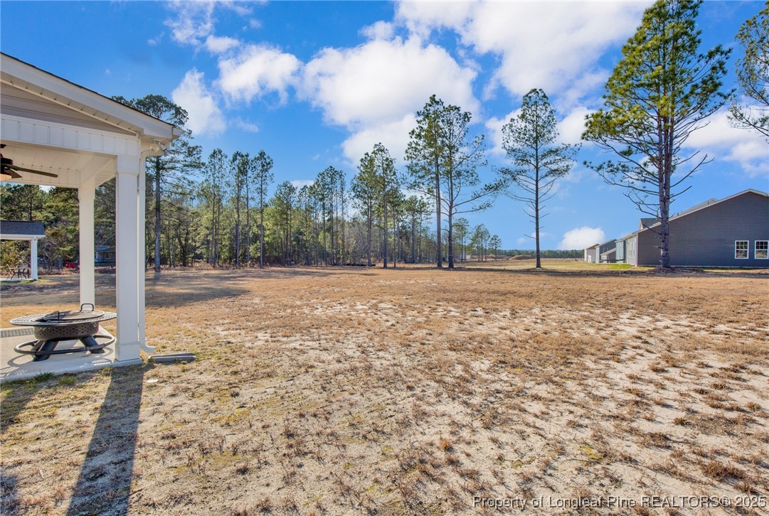 2538 Marks Road Cameron, NC 28326 - Photo 33 of 33