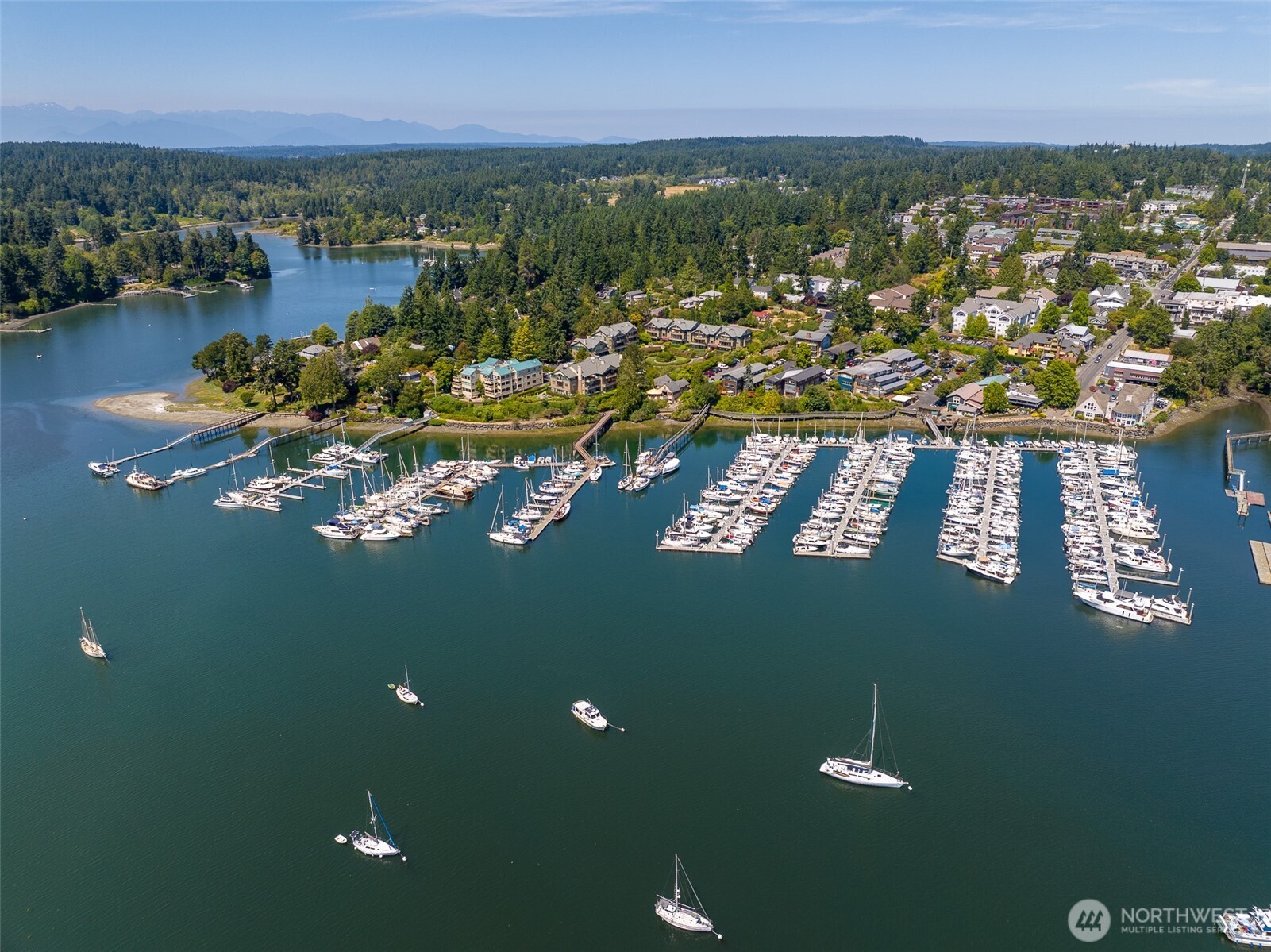 141 Parfitt Way Southwest, Unit M10 Bainbridge Island, WA 98110 - Photo 16 of 23 a view of a city with lake