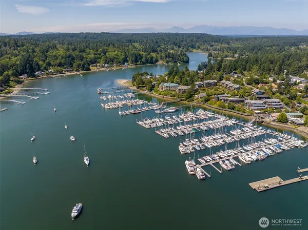an aerial view of lake and residential houses with outdoor space