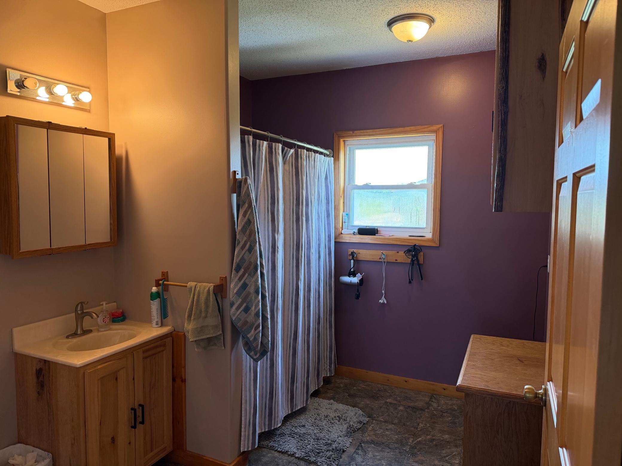 17504 231st Avenue Long Prairie, MN 56347 - Photo 13 of 28