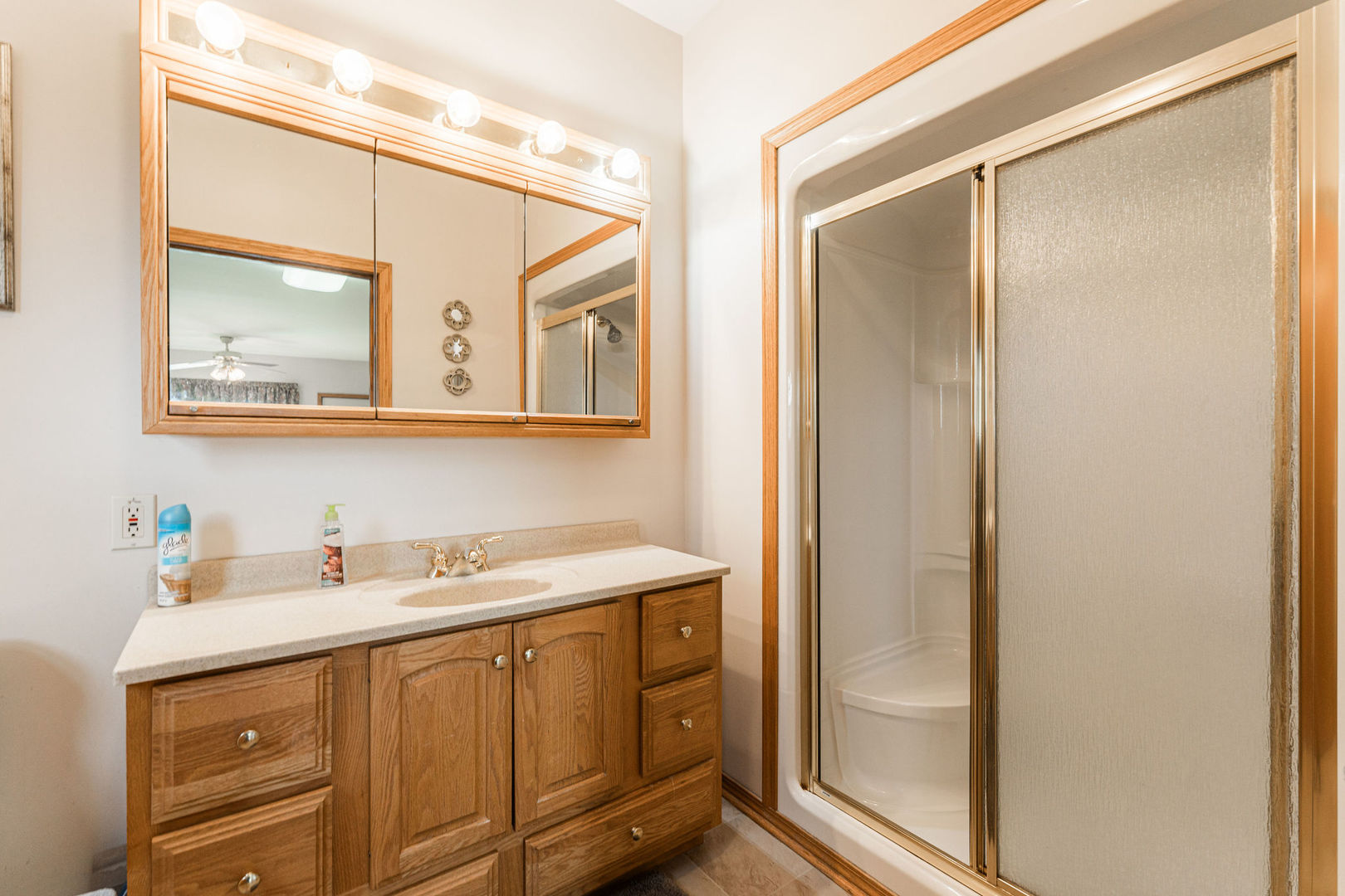3877 Rich Road Malta, IL 60150 - Photo 13 of 43 a bathroom with a sink mirror and vanity