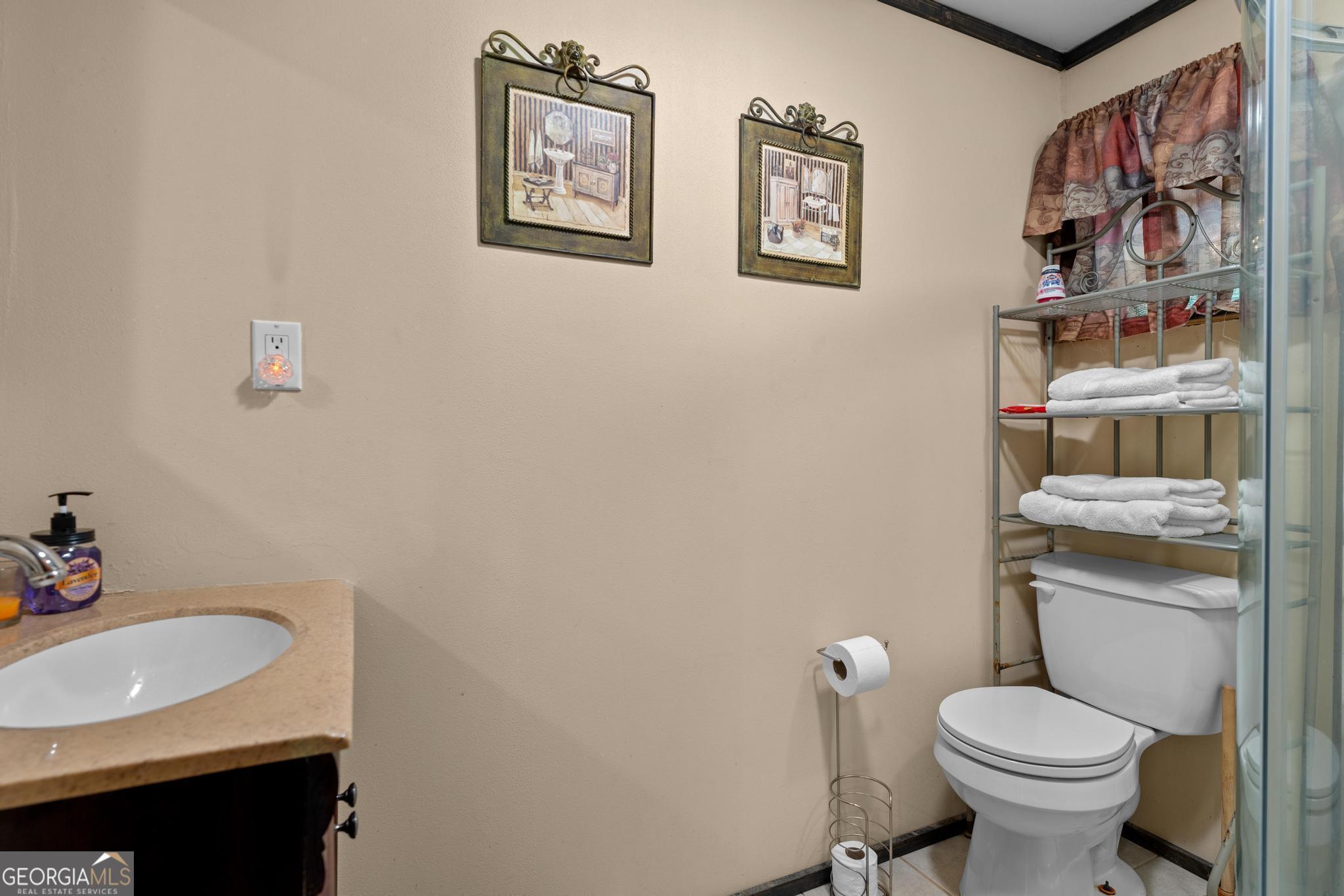 8378 Dillard Road Scaly Mountain, NC 28775 - Photo 19 of 33