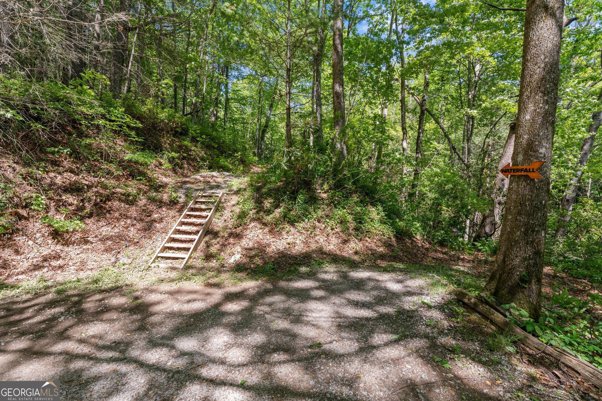 8378 Dillard Road Scaly Mountain, NC 28775 - Photo 25 of 33