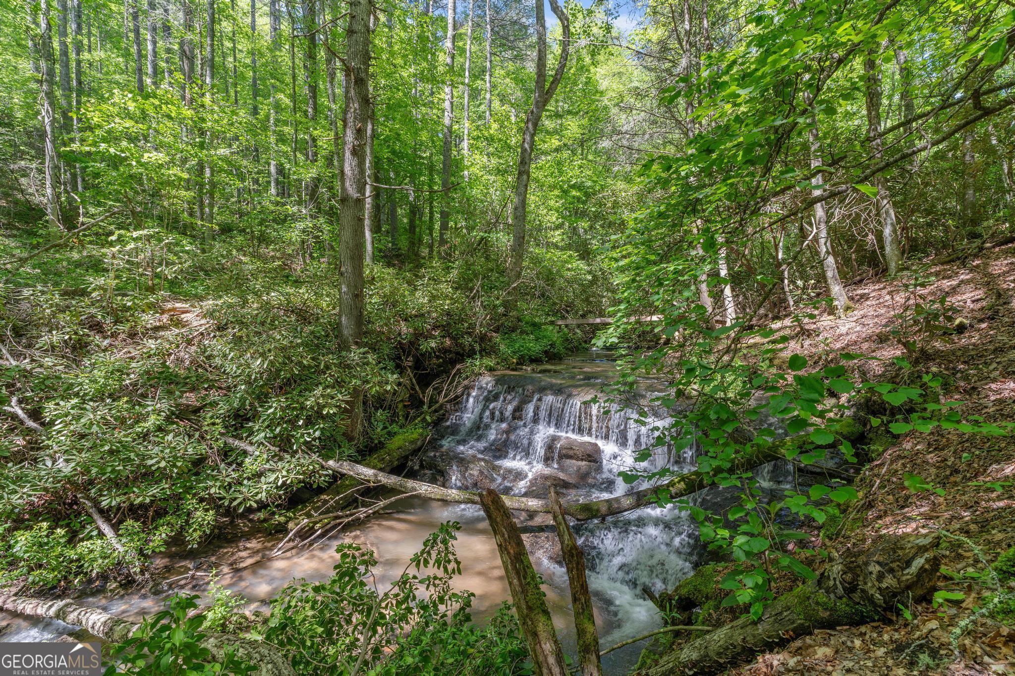 8378 Dillard Road Scaly Mountain, NC 28775 - Photo 27 of 33