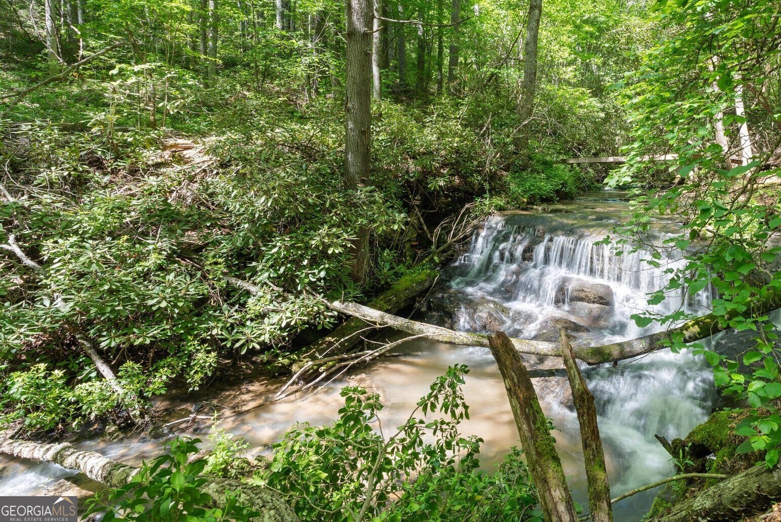 8378 Dillard Road Scaly Mountain, NC 28775 - Photo 28 of 33