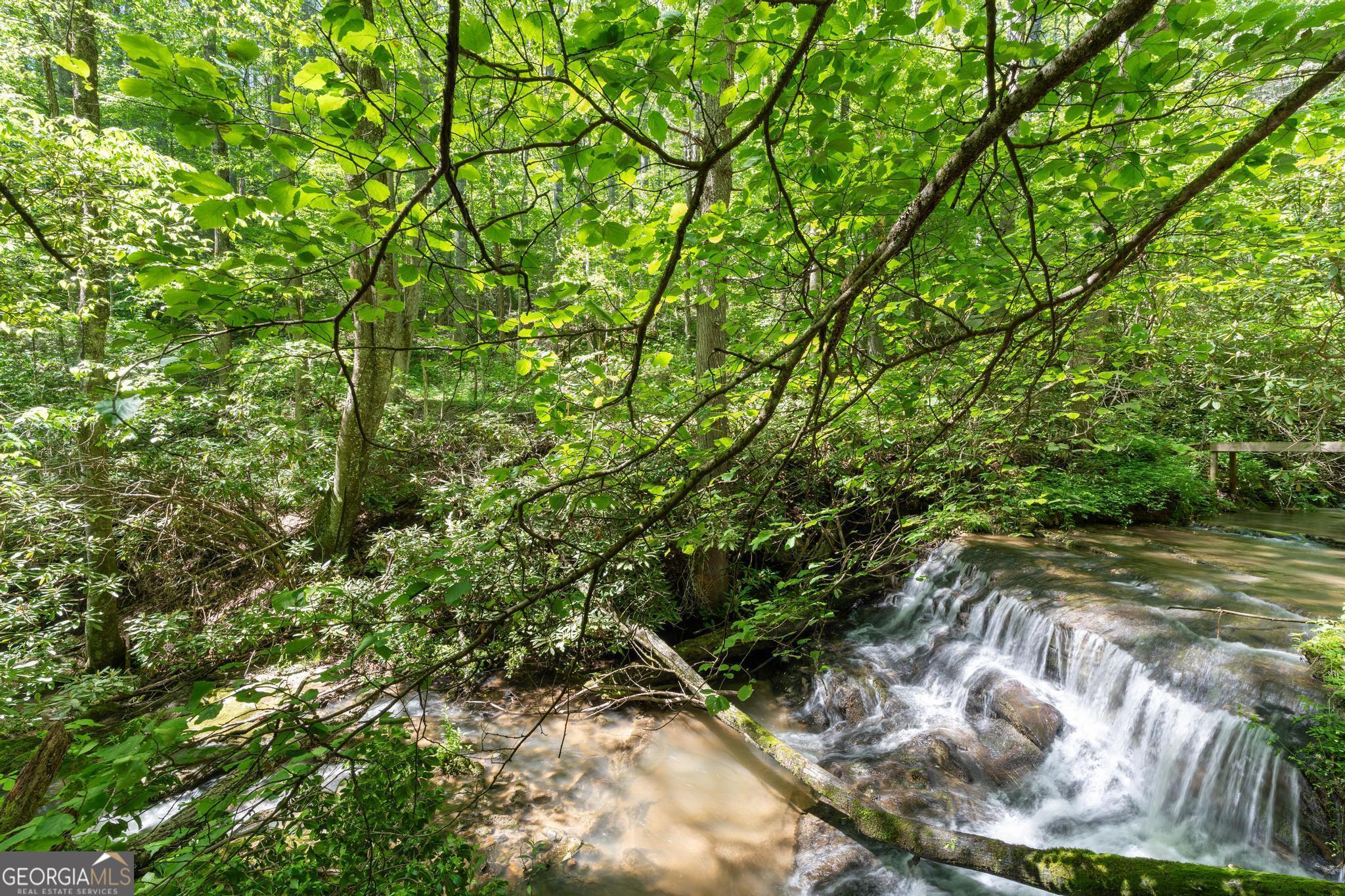 8378 Dillard Road Scaly Mountain, NC 28775 - Photo 29 of 33