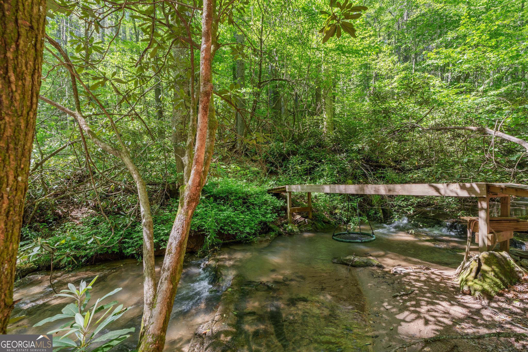 8378 Dillard Road Scaly Mountain, NC 28775 - Photo 30 of 33