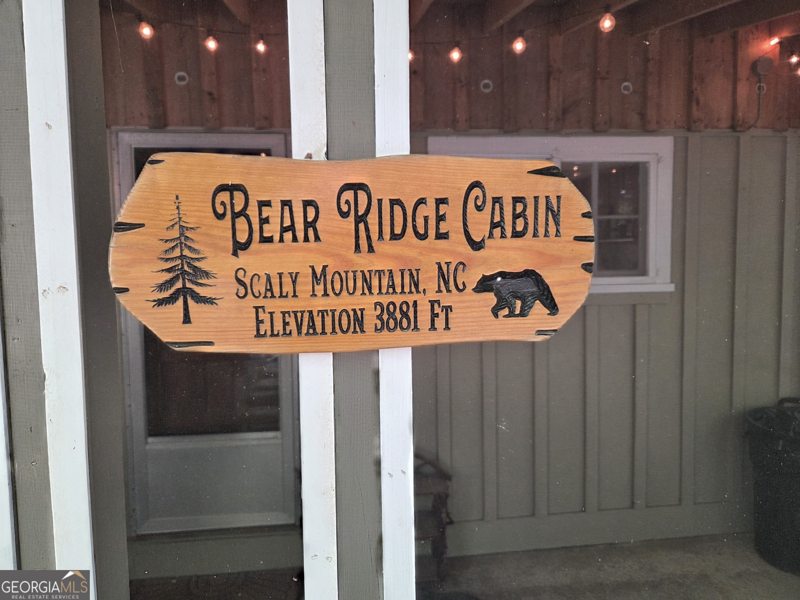 8378 Dillard Road Scaly Mountain, NC 28775 - Photo 8 of 33