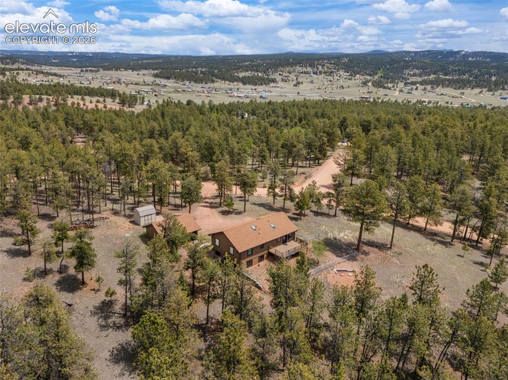 187 Thunder Ridge Road Florissant, CO 80816 - Photo 41 of 46