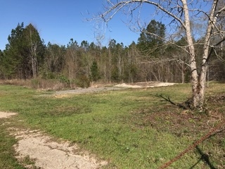 2478 Luke Rivers Road McIntosh, AL 36553 - Photo 22 of 22 North Side with Slab