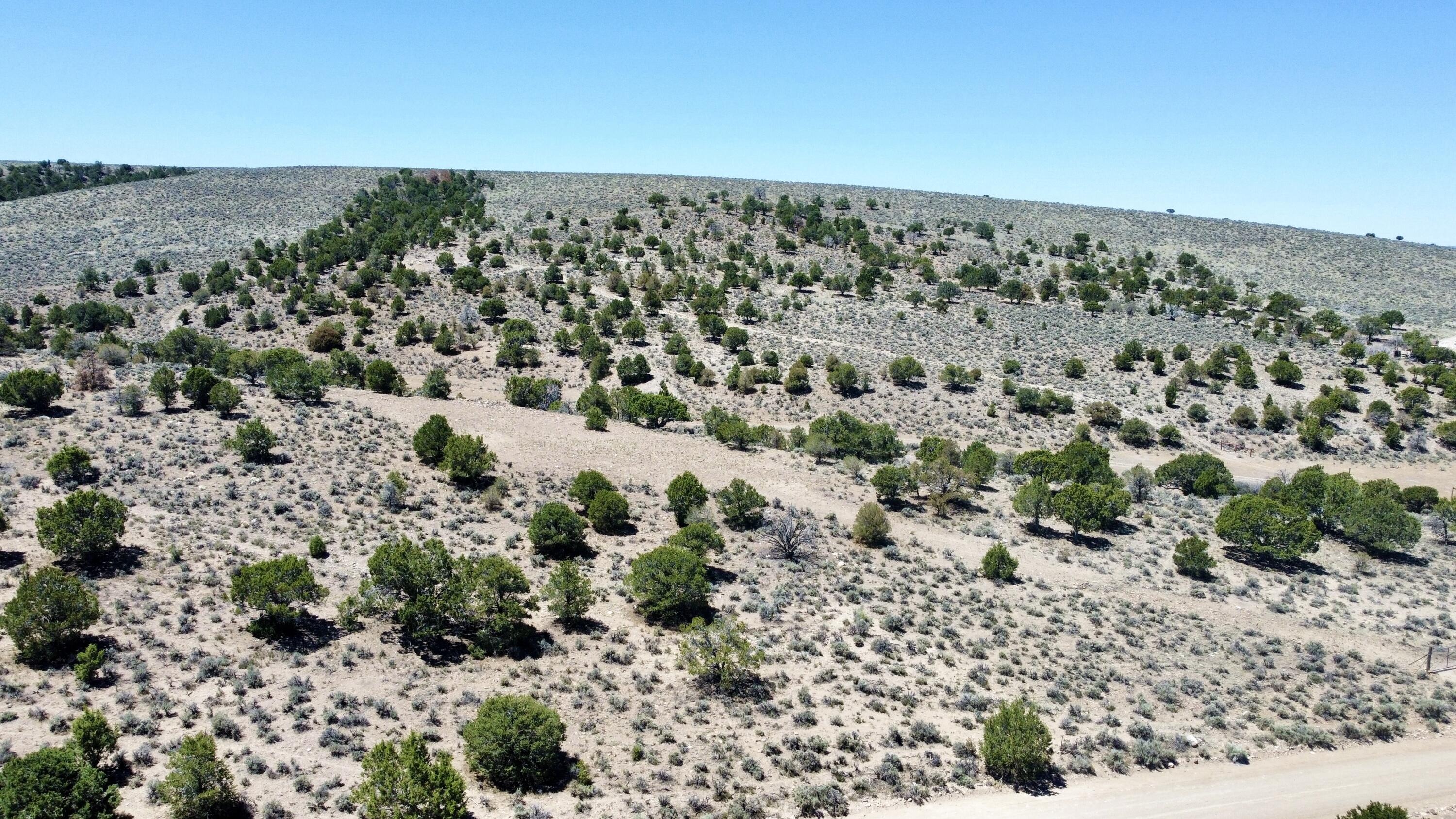 T30 South R7 W S2 Beaver, UT 84713 - Photo 6 of 10 dji_fly_20260611_121642_373_178120181034