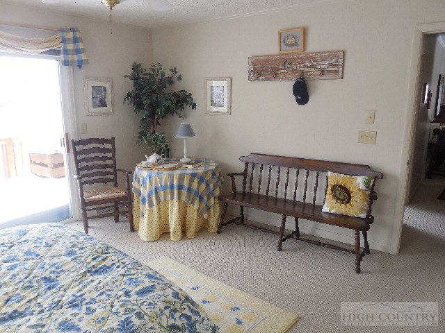 749 Skiview Road Seven Devils, NC 28604 - Photo 6 of 44 Gallery Image 6