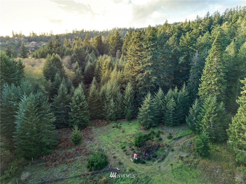 1 Parcel H Sandwith Road Friday Harbor, WA 98250 - Photo 3 of 34 Gallery Image 3