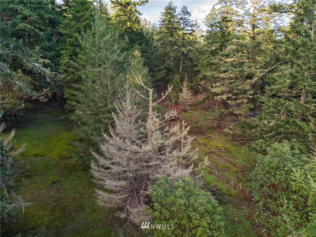 1 Parcel H Sandwith Road Friday Harbor, WA 98250 - Photo 22 of 34 Gallery Image 22