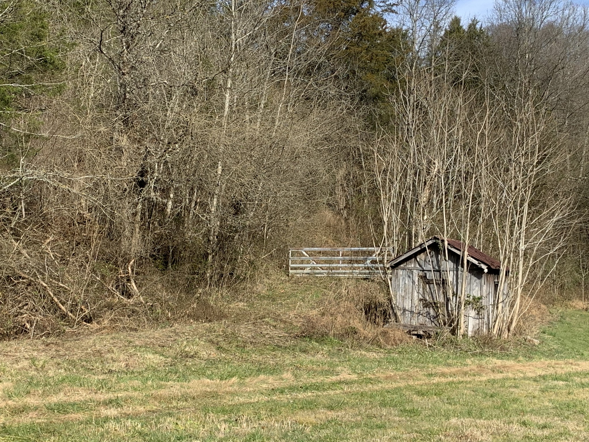 475 Halls Branch Road Pleasant Shade, TN 37145 - Photo 14 of 29 Gallery Image 14