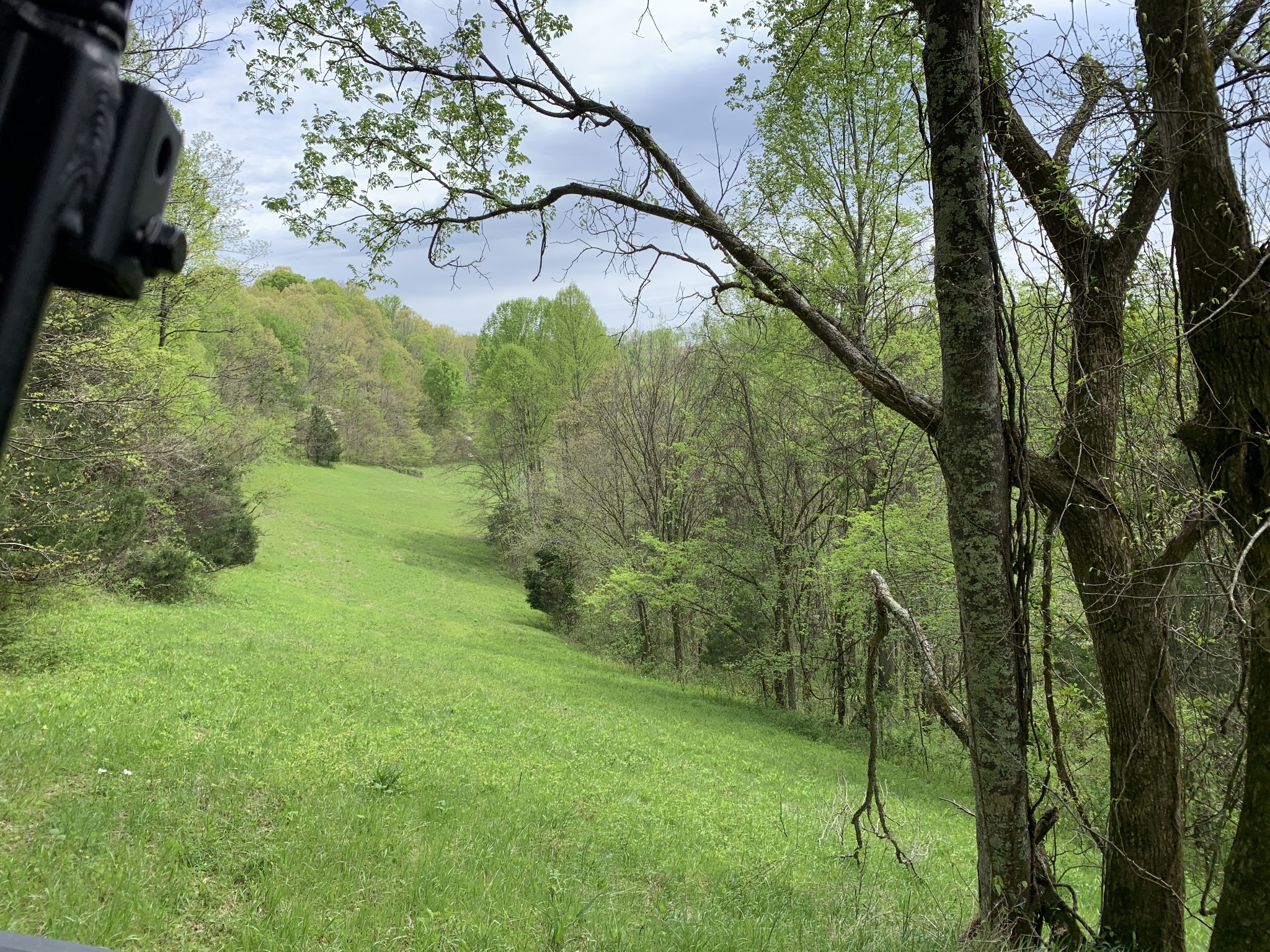 475 Halls Branch Road Pleasant Shade, TN 37145 - Photo 23 of 29 Gallery Image 23