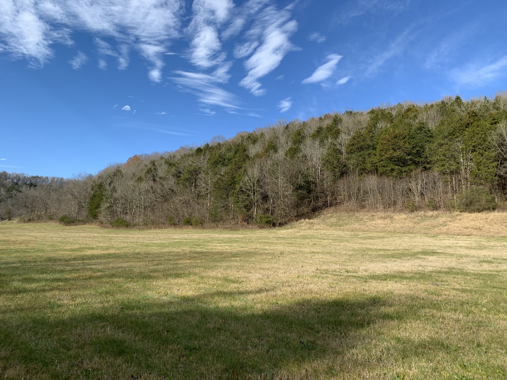 475 Halls Branch Road Pleasant Shade, TN 37145 - Photo 9 of 29 Gallery Image 9