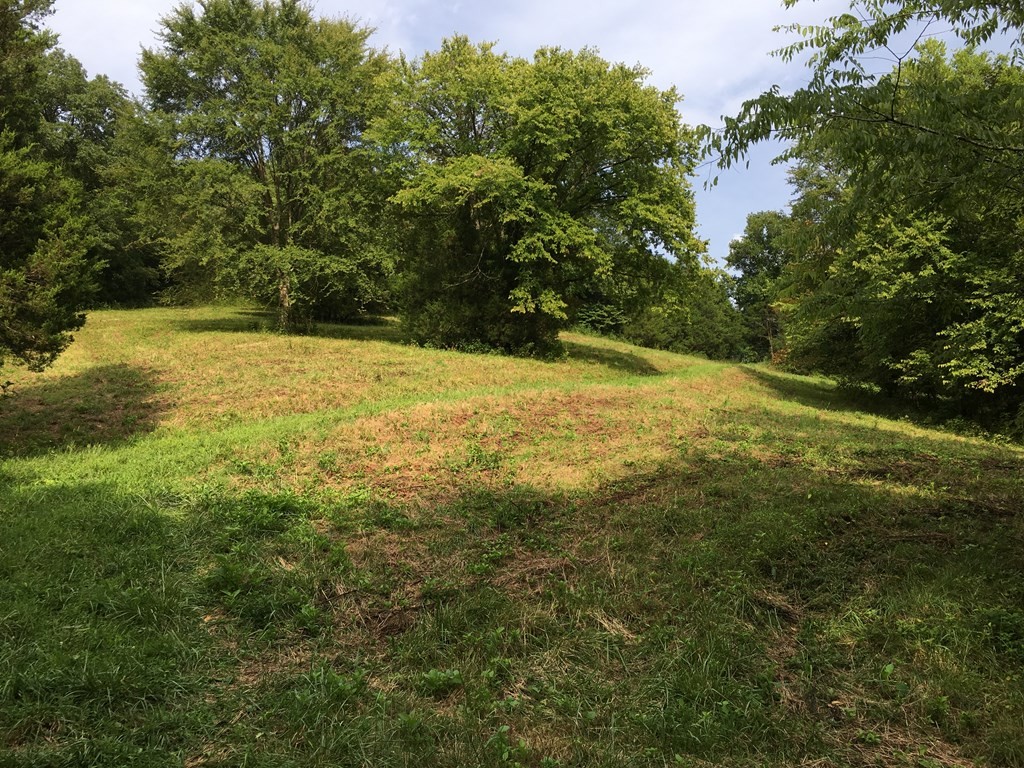 475 Halls Branch Road Pleasant Shade, TN 37145 - Photo 10 of 29 Gallery Image 10